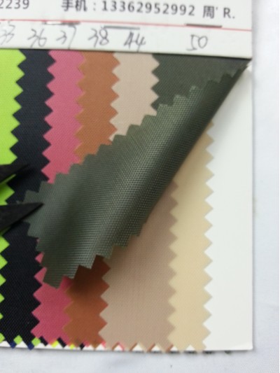 DG-BICG BC-2101 PL   背囊面料 45度照